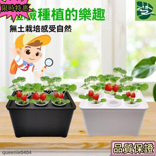 🌟限時特惠🌟花盆 花箱 花槽 水培草莓生菜種植箱家庭智慧無土栽培蔬菜盆栽幼兒學生觀察種菜