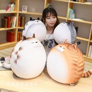 日系超軟貓咪公仔玩偶毛絨玩具女布娃娃床上睡覺大抱枕送生日禮物毛絨玩具可愛萌物玩偶生日禮物送女生轉運公仔陪睡柔軟軟萌兒童禮