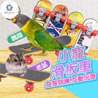 小愛精選 迷你滑板小寵滑板車 手指滑板 鸚鵡滑板 互動玩耍 小寵益智玩具 寵物玩具 倉鼠滑板鸚鵡玩具 烏龜滑板 滑板