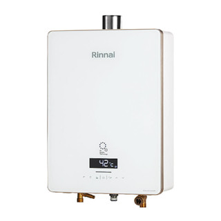 林內【RUA-UC1628WF_NG1】屋內型16L強制排氣熱水器 天然氣(含全臺安裝)