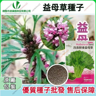 🌹 益母草種子 原廠包裝(約1000粒) 研優改良鮮食野生九重樓雲母草種子 菜園農家陽臺盆栽花種 種子植物盆栽植物植