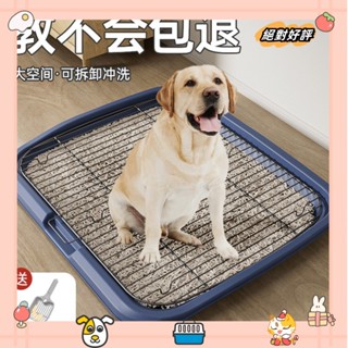 狗狗廁所中型大型清潔防踩屎便盆廁所小型犬 狗廁所易清理防踩屎可漏尿狗狗用品夠尿盆laiwc