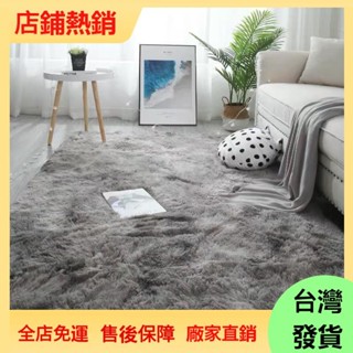 【全網最低價】北歐ins風地毯 長毛地毯 珊瑚絨地毯 絨毛大地毯 客廳房間臥室床邊毯 加厚毛地毯 絨毛地毯 絲毛床邊墊