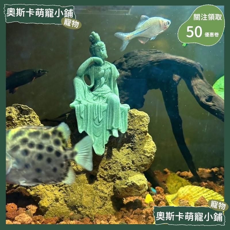 💥台灣出貨💥 寵物 寵物用品 魚缸 擺件 造景 躲避屋 小魚缸 水族箱 魚缸造景 水族箱造景 水族造景 魚缸造景