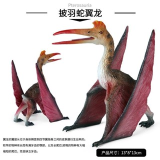 恐龍玩具 兒童模擬大號披羽蛇侏羅紀實心恐龍玩具翼手龍動物認知模型