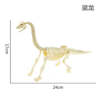 恐龍玩具 考古恐龍模型兒童益智拼裝恐龍骨架DIY組裝玩具