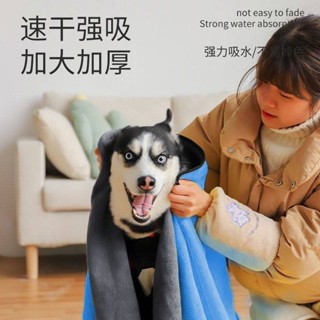 天天|寵物吸水毛巾狗狗泰迪金毛貓咪洗澡浴巾速乾大號巾用品狗專用