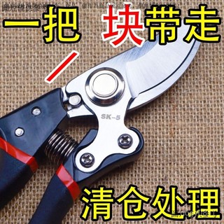 SK5園藝剪 園藝修枝剪 葡萄剪子 園藝剪刀 修樹枝剪刀 樹枝剪刀強力剪刀 SK5強力園藝修枝剪新款園林家用省力款花枝
