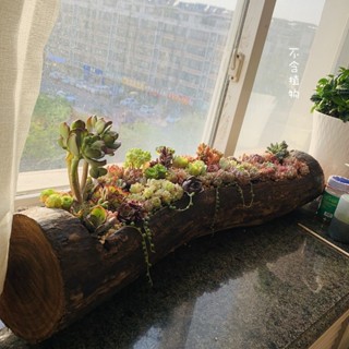 😊熱賣多肉花盆木頭石斛透氣老木槽陽臺盆栽長方形實木原生態風化老枯木－ 精品鋪-丘丘