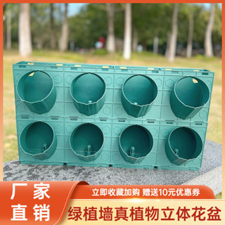 種菜箱 種菜盆 育苗盆 美植袋 種植袋 盆栽植物 垂直綠化多功能種植盒室內智慧澆灌立體墻麵裝飾植物墻花盆壁掛式