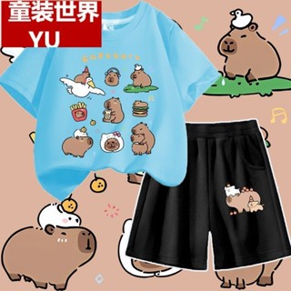 🌈【玖月·旗艦店】🙆‍男童套裝 男童上衣 兒童套裝帥氣男童夏季薄款夏裝水豚君短袖t恤兩件套卡皮巴拉衣服