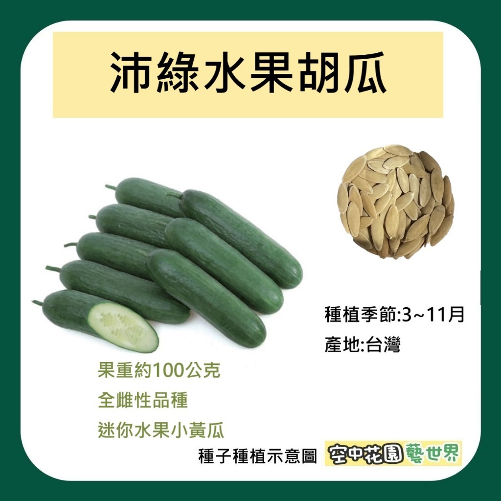 【台灣出貨 電子發票】沛綠水果胡瓜 種子 迷你水果小黃瓜 小胡瓜 水果小黃瓜 菜籽 空中花園藝世界