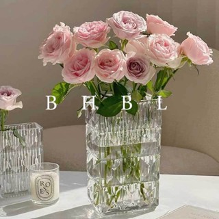 【新品推薦】高階感輕奢花瓶擺件玻璃透明高檔水養水培鮮花玫瑰百合客廳ins風