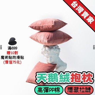 桃園發貨🚚 北歐純色抱枕 豆沙粉天鵝絨 沙髮抱枕 ins風沙髮靠墊 公主靠枕 少女心床上抱枕