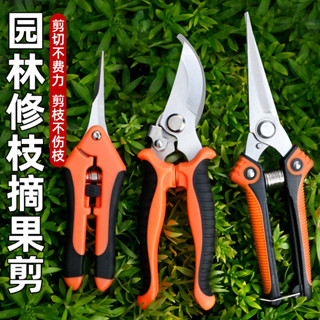 精選優品 家用園林修枝剪果樹專用剪子鮮花園藝剪不鏽鋼剪樹枝綠化嫁接園林剪刀