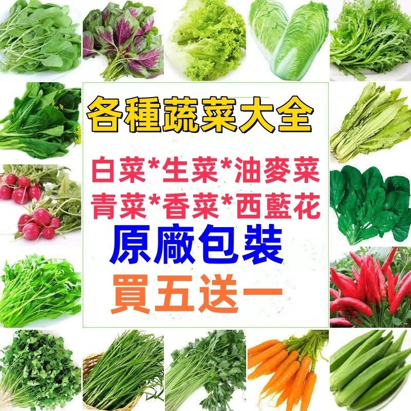 ✪☛限時特價促銷【原廠包裝種子】各種白菜種子 青菜種子 油麥菜種子 香菜種子 西藍花種子 生菜種子 蔬菜瓜果種子大全