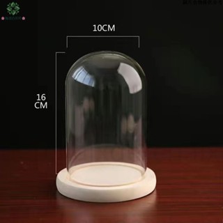 【桃園發貨 24H發】玻璃罩永生花 玻璃罩乾燥花 10公分 蠟燭罩 公仔防塵 罩微景觀 手作DIY 防塵透明罩商品展示罩