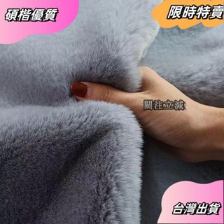 ☘️臺灣出貨☘️【爆賣】客製化地毯 地墊 主臥室 ins超厚防兔毛地毯客廳臥室茶几床邊滿鋪可訂製加厚毛絨飄窗墊asfas