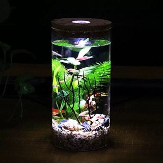 💥生態瓶 造景瓶 玻璃瓶 生態瓶 微景觀水族箱 造景鬥魚缸 辦公桌麵擺件 客廳玻璃魚缸 生態球微景觀