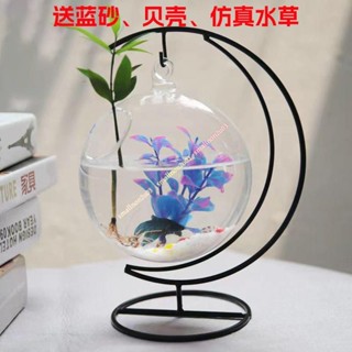 限時下殺 懸掛小魚缸 迷你缸辦公桌面創意玻璃小型金魚缸水族箱 桌面擺件 家用鬥魚缸smallnon2u03