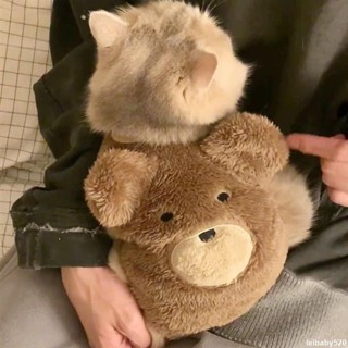 🛒💕限時優惠💕 免運貓咪 金漸層 秋冬衣服 套頭 保暖 寵物服裝 狗狗背心 可愛拍照 貓咪衣服 狗狗衣服 防掉毛