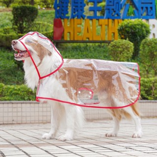 諮詢購買 狗狗雨衣透明大中型犬泰迪金毛拉布拉多比熊外出防水寵物衣服雨披寵物 寵物胸背帶 狗狗牽繩 貓咪牽繩 寵物牽繩