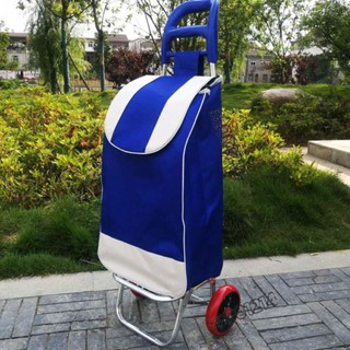 🌟桃園出貨🌟▽購物車布袋△ 老年人買菜車 購物車 小拉車 便攜折疊拉桿車 超市手推車 買菜小拖車