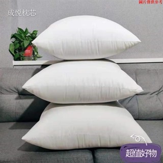 🌈新品促銷🌈枕心 抱枕心 抱枕 枕頭 多種尺寸 水洗 枕芯 可客製尺寸 枕心 抱枕心 抱枕 枕頭 NTFMM0412