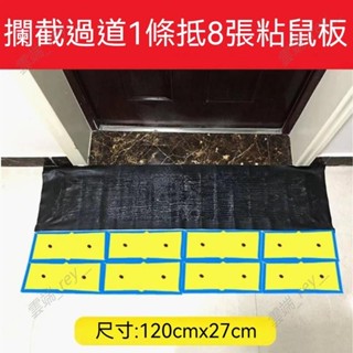 臺灣免運 強力粘鼠毯 抓老鼠 黑底黏鼠毯 黏鼠毯 黏鼠板 粘鼠板超強力黏鼠板粘 家用捕鼠神器 滅鼠魔毯