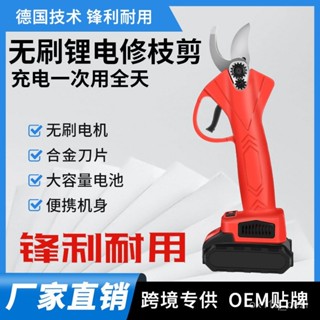 臺灣熱賣 電動修枝 剪刀 園藝 電剪刀 樹枝 果樹 粗枝 修剪刀 充電式無綫鋰電修枝剪 4V6G