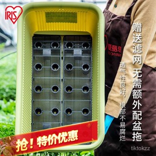 🚚送濾網+開發票【安裝簡便】愛麗思花盆耐用陽臺懶人種菜專用盆蔬菜種植箱盒長條種菜箱愛麗絲