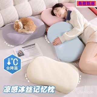 舒眠枕 純棉全棉枕頭枕芯抱枕 五星級飯店專用枕 飯店專用枕 民宿枕頭 透氣枕 大枕頭 側睡枕 飯店枕 午睡枕 休息枕 枕