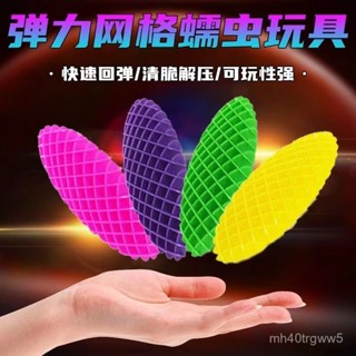 🔥臺灣最低價🔥新款3D列印解壓彈力網創意擺件隨手工藝品網紅解壓變形蠕蟲髮洩彈