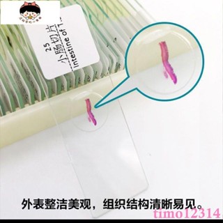 [優選]兒童顯微鏡標本切片套裝 5-200片多種可選 生物玻片可教學使用