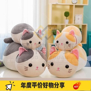 國際·甜點貓咪老師 貓咪玩具 毛絨玩具 可愛小貓公仔 娃娃 抱枕 兒童抱枕 睡覺搭子XZA