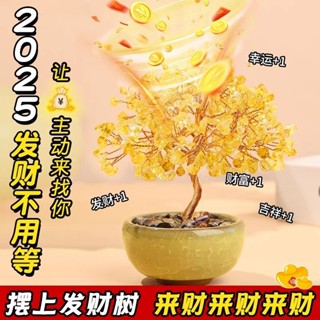 ✨精緻主義✨電腦小物 【店鋪熱銷】天然水晶粉晶黃水晶髮財樹招財貓擺件家居開業桌麵擺飾可愛小禮物 ZOJN