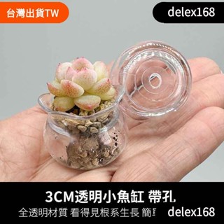 免運特惠 3cm塑膠魚缸花盆（不含植物），迷你多肉專用控養花盆，高透明可觀察植物生長根莖，家居生活辦公室桌面陽臺育苗花盆