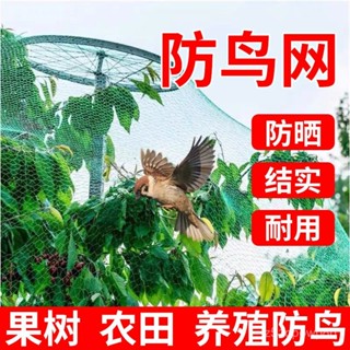 🔥臺灣出貨🔥【30天熱銷1萬件】果園防鳥網罩果園家用防護網葡萄蘋果桃樹專用果園用防鳥網農用網hhfoof