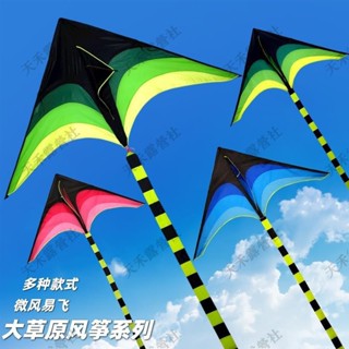 限時下殺 風箏 大型風箏 釣竿風箏 大風箏 立體風箏 特技風箏 立體風箏 大草原風箏 成人兒童風箏 造型風箏 彩繪風箏