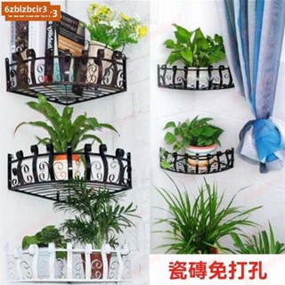💕💕鐵藝花架壁掛轉角墻上花架墻角置物架綠蘿吊蘭架多功能三角置物架