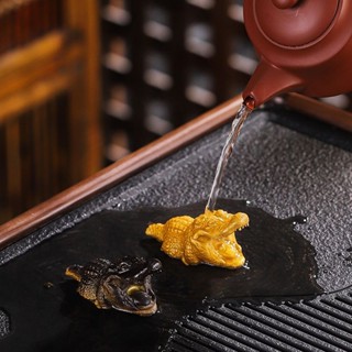 臺灣發貨 🍒金融大鱷 變色 茶寵 可養 小擺件 客廳迷你創意個性可愛茶水鱷招財