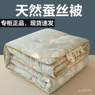 [限時特價]正品蠶絲被100桑蠶絲春秋被空調被夏涼被子宿捨空調被芯加厚冬被