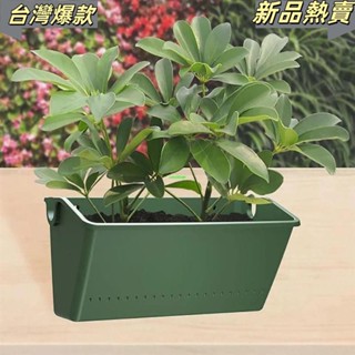 臺灣發🎐花盆,塑膠壁掛種植箱,花架垂直綠色種子容器陽臺