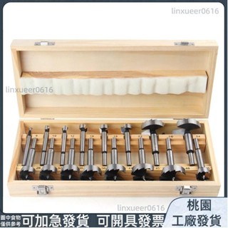 ✨嘉義有貨✨16 件裝 6-50 毫米高碳鋼 Forstner 平翼鑽木工開刀尖木工工具孔鋸刀具鉸鏈鑽孔鑽頭圓柄ys31