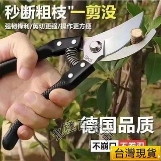 臺灣發貨-SK5鋼樹枝剪刀 粗枝園林剪 修剪果樹 修枝剪 多用途花園剪刀 樹枝 花卉 花剪 園藝剪 花藝剪刀 園藝剪刀