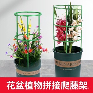 桃園出貨24H🚀花盆植物爬藤架 花架花藤架 可疊高 植物架 植物支架 園藝支架 園藝花架 植物花架 植物支撐桿