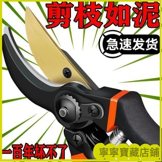 💥臺灣出貨💥SK5 樹枝剪 園藝剪 花剪 園藝剪刀 修枝剪 高枝剪 修花剪刀 果樹剪 園藝工具 花藝剪刀 修枝剪花藝