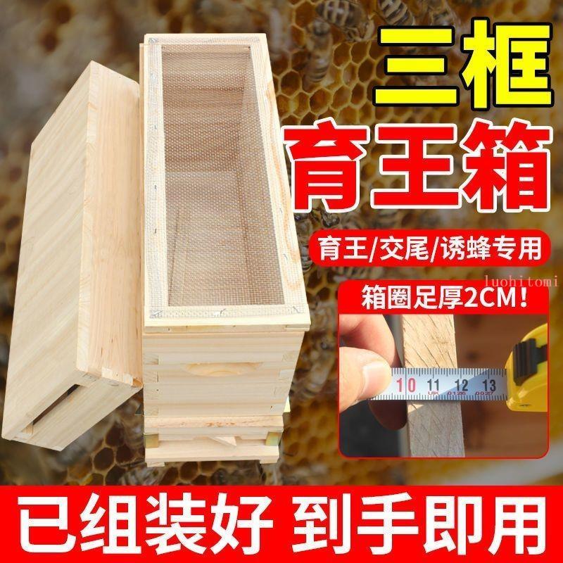 推薦 蜜蜂育王箱 蜂王交尾箱 杉木三框蜂箱育王分蜂專用小型交尾蜜蜂箱