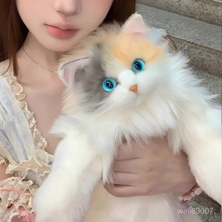 😝亮亮背包 台灣出貨😝三花貓模擬貓咪玩偶 一比一模擬貓咪 娃娃公仔 毛絨玩具 布偶貓背包 生日禮物 寵物抱枕