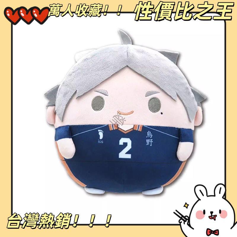 【台灣發貨！】排球少年 影山飛雄 日向翔陽 及川徹 影山飛雄 菅原孝支 棉花 娃娃 吊飾 玩偶 公仔 周邊